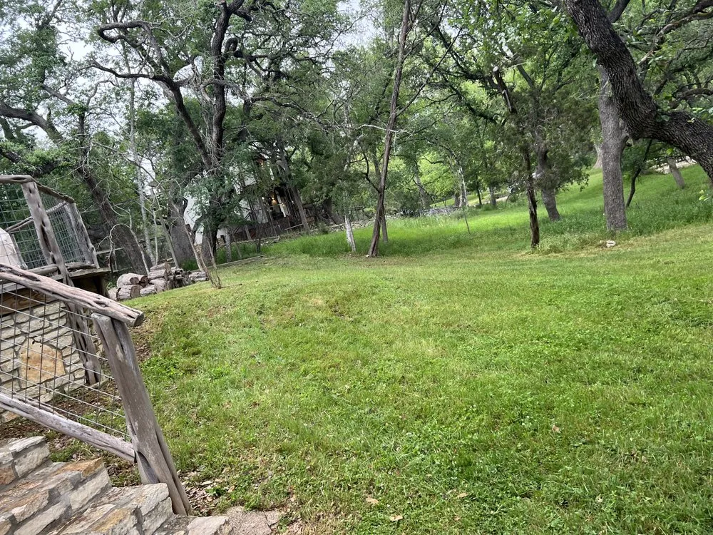 Professional residential landscaping for year-round maintenance in Canyon Lake, TX by Canyon Lake landscapes