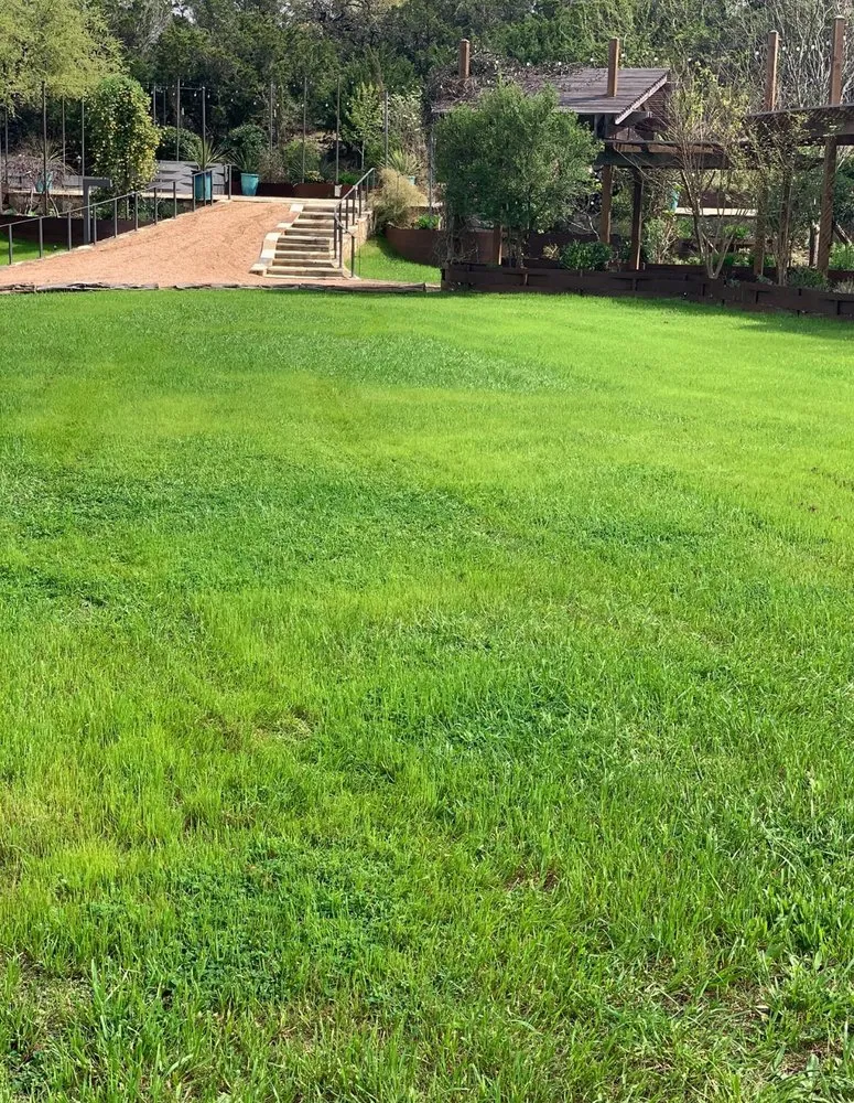 Trusted yard maintenance for residential properties across Canyon Lake, TX - Canyon Lake landscapes