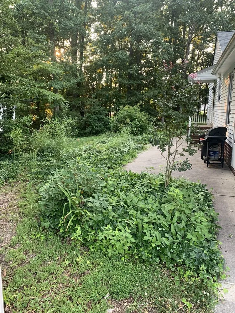 Top-rated outdoor landscaping for beautiful yards in Richmond, VA by Canyon Landscaping