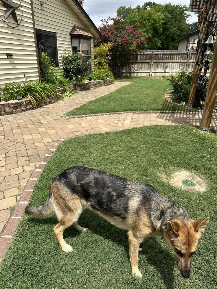 Expert landscape design in San Antonio, TX - Canyon Outdoor Services