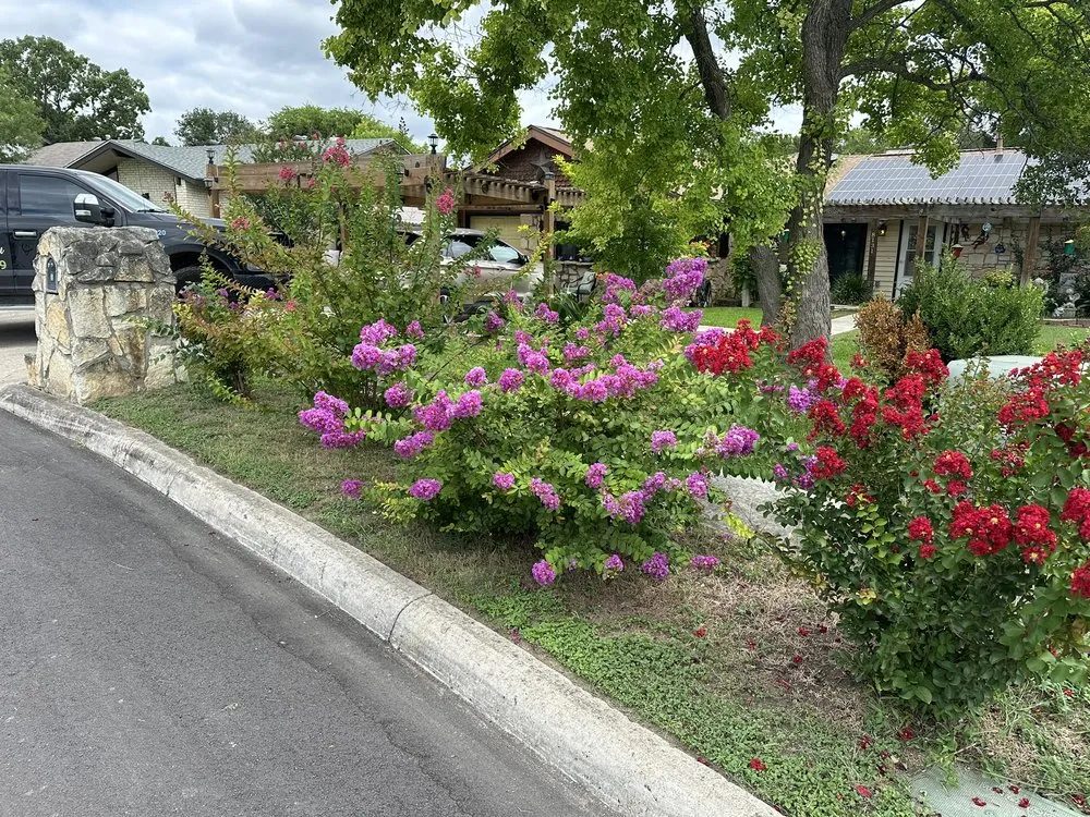 Custom yard maintenance with custom design across San Antonio, TX - Canyon Outdoor Services