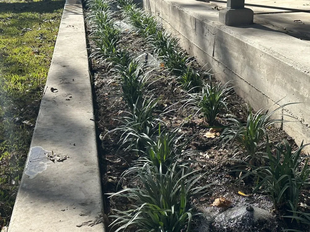 Professional landscape installation experts serving San Antonio, TX - Canyon Outdoor Services