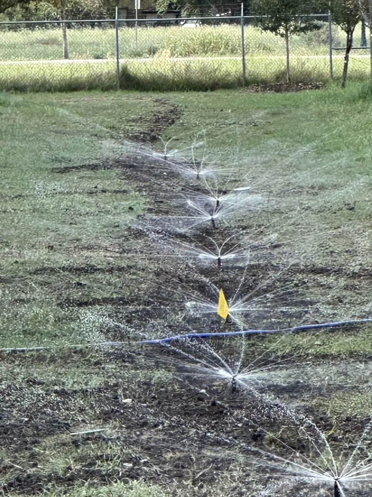 Custom residential landscaping for homes across San Antonio, TX - Canyon Outdoor Services