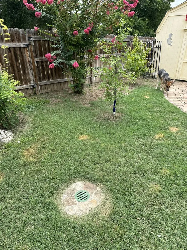 Top-rated garden landscaping for residential properties in San Antonio, TX by Canyon Outdoor Services