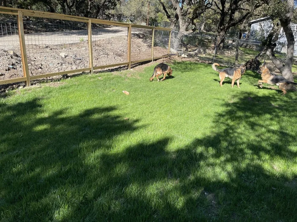 Local outdoor landscaping near you across San Antonio, TX - Canyon Outdoor Services