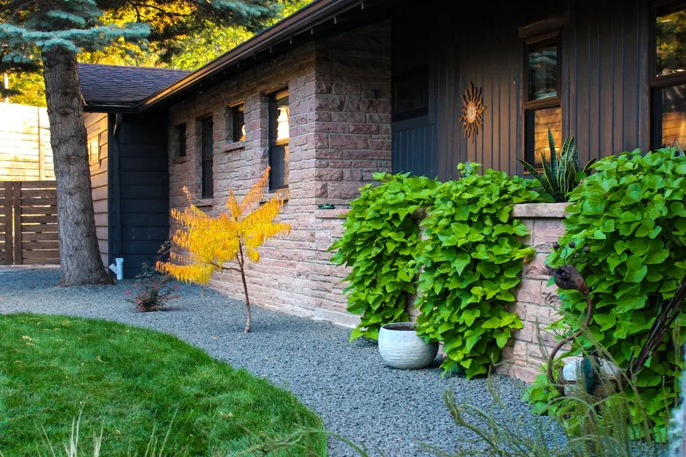 Expert yard cleanup service for year-round maintenance across Golden, CO - Canyon Point Landcaping