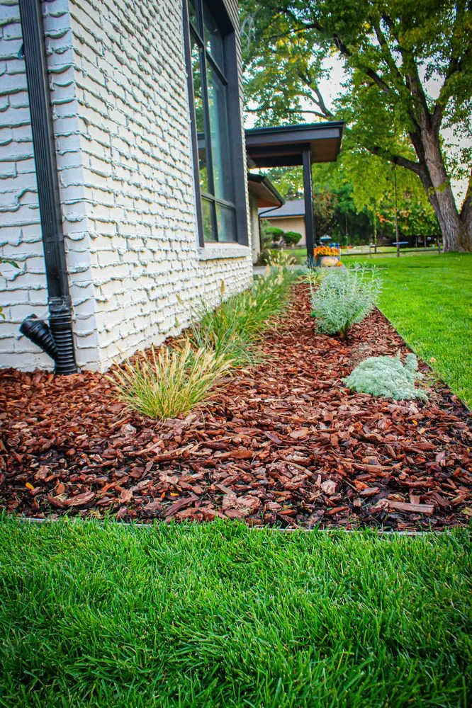 Local lawn care service in Golden, CO by Canyon Point Landcaping