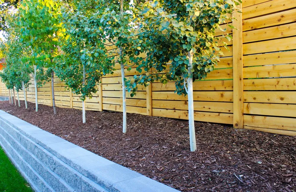 Expert lawn mowing service in Golden, CO - Canyon Point Landcaping