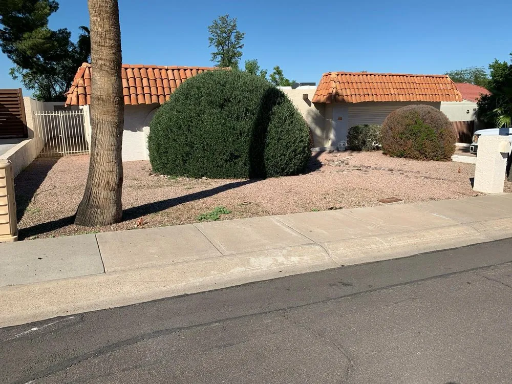 Custom yard maintenance experts serving Tempe, AZ - CAP Landscaping And Tree Removal Service