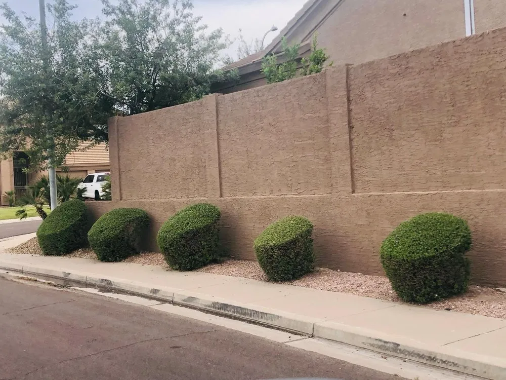 Custom landscape design in Tempe, AZ - CAP Landscaping And Tree Removal Service
