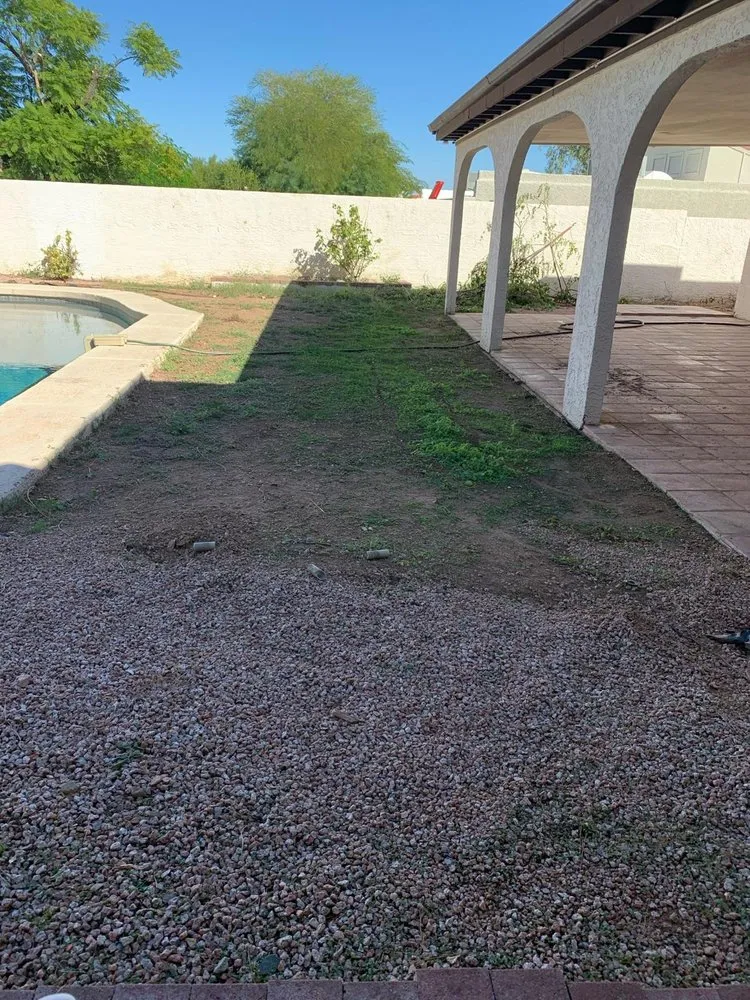 Custom yard cleanup service for residential properties across Tempe, AZ - CAP Landscaping And Tree Removal Service
