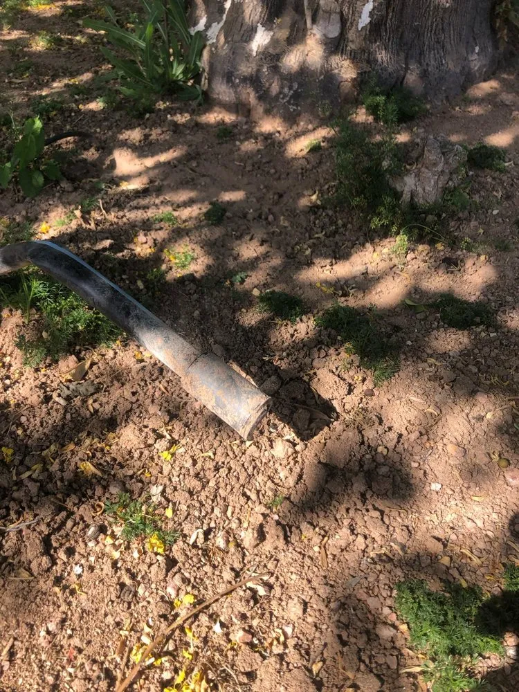 Affordable lawn care service for beautiful yards across Tempe, AZ - CAP Landscaping And Tree Removal Service