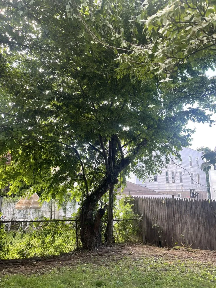 Reliable landscape design experts serving Passaic, NJ - Cap Lawncare And Services