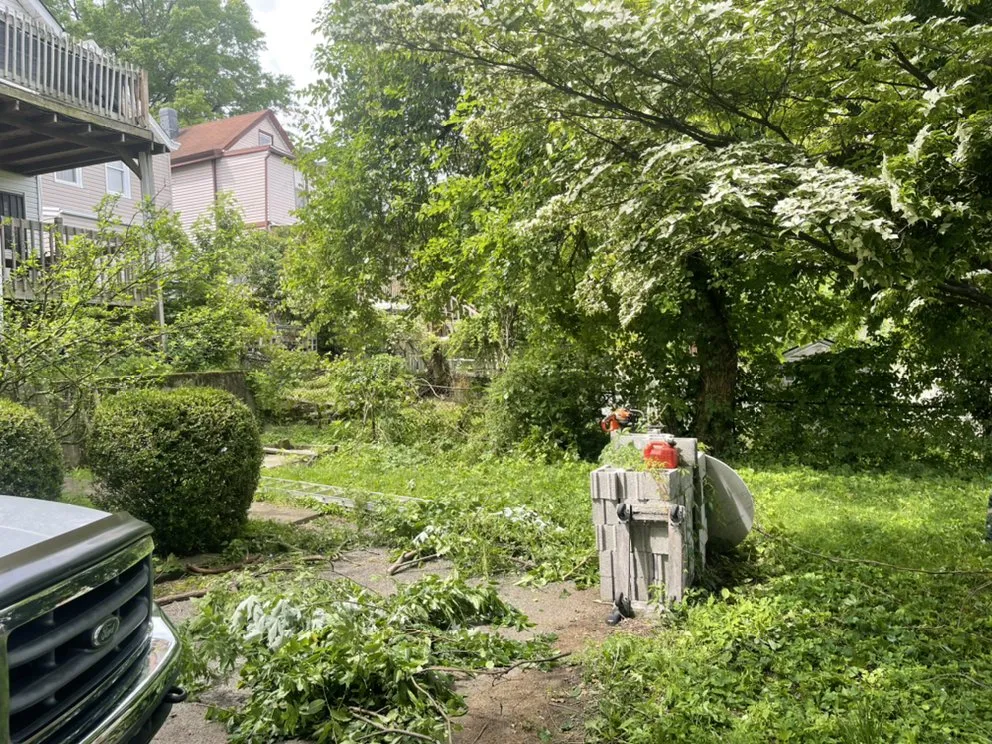 Reliable landscaping services near you across Passaic, NJ - Cap Lawncare And Services