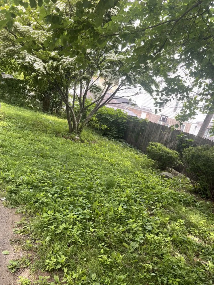 Top-rated residential landscaping for year-round maintenance in Passaic, NJ by Cap Lawncare And Services