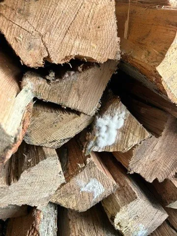 Professional landscaping services with custom design across Bethany, CT - Capasso Landscaping