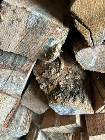 Reliable landscape design in Bethany, CT by Capasso Landscaping