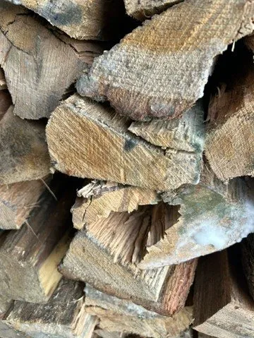 Reliable landscape design experts serving Bethany, CT - Capasso Landscaping