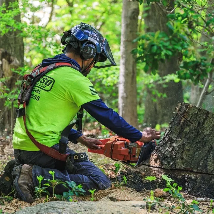 Top-rated yard cleanup service for residential properties across Bethany, CT - Capasso Landscaping