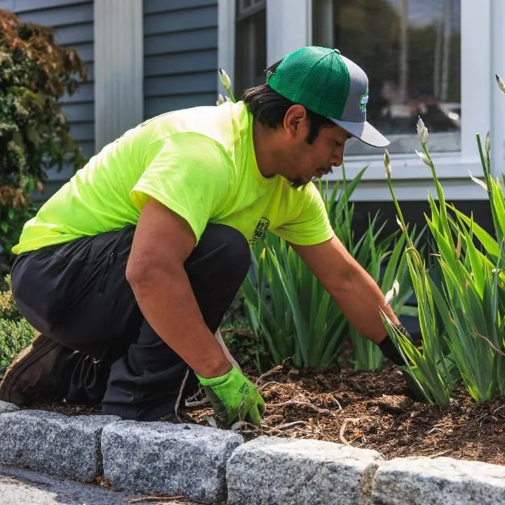 Top-rated yard maintenance with custom design across Bethany, CT - Capasso Landscaping