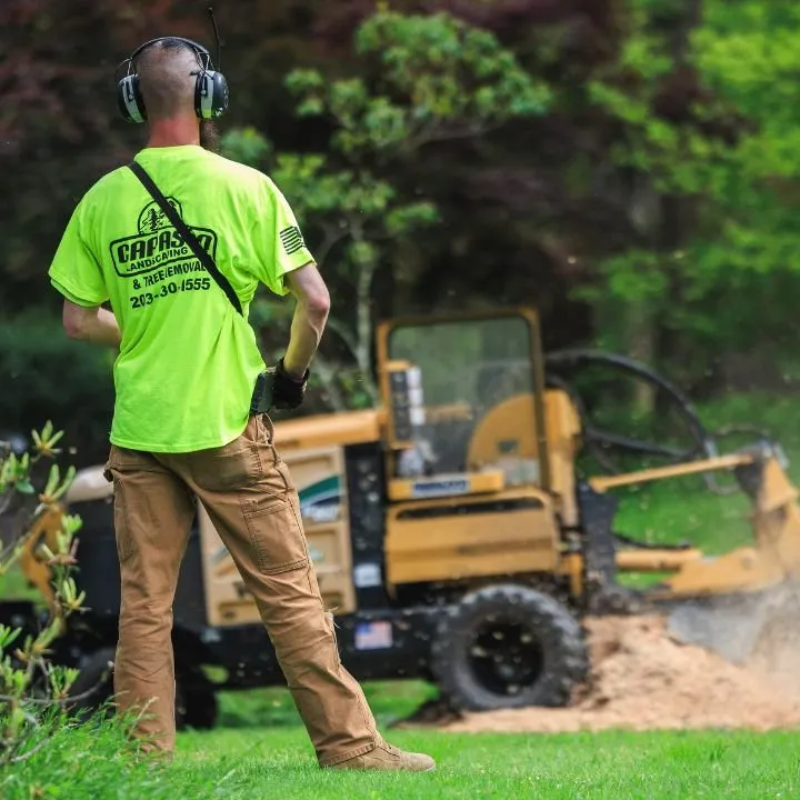 Reliable residential landscaping in Bethany, CT by Capasso Landscaping