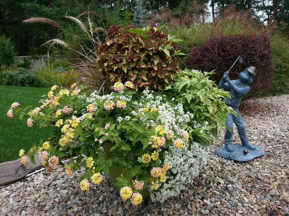 Trusted yard maintenance near you across Harwich, MA - Cape Coastal Landscaping