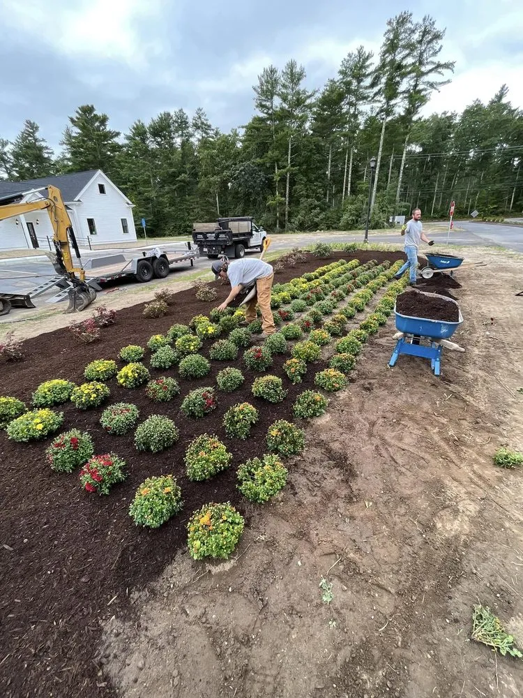 Affordable yard cleanup service in Sagamore Beach, MA - Cape Cod Property Maintenance