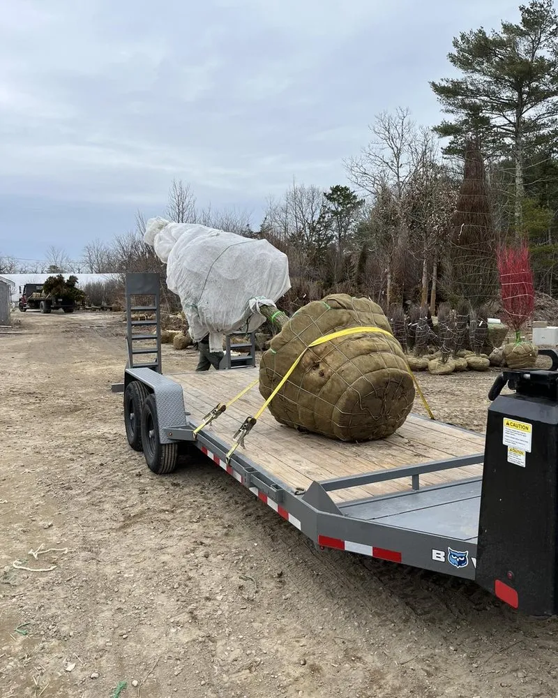 Local yard maintenance in Sagamore Beach, MA - Cape Cod Property Maintenance