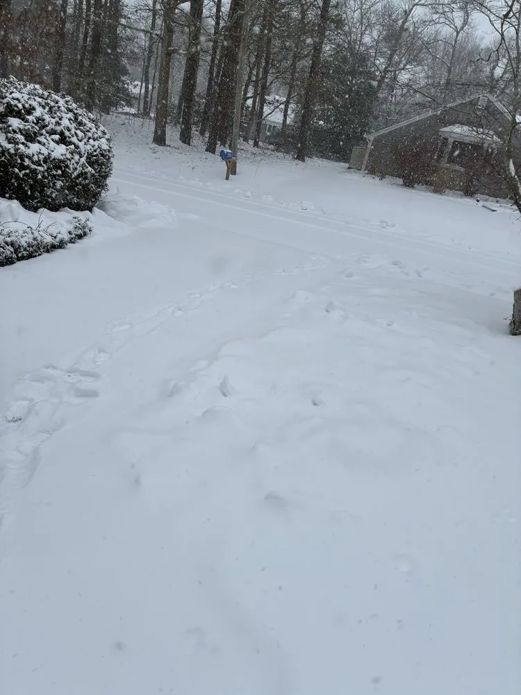 Affordable residential landscaping experts serving South Yarmouth, MA - Cape Cod Services