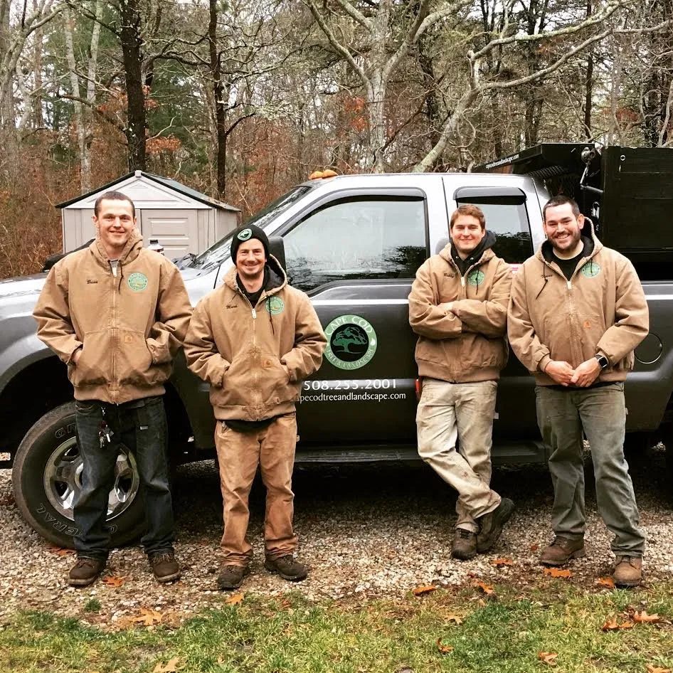 Professional yard cleanup service with custom design in Chatham, MA by Cape Cod Tree & Landscape