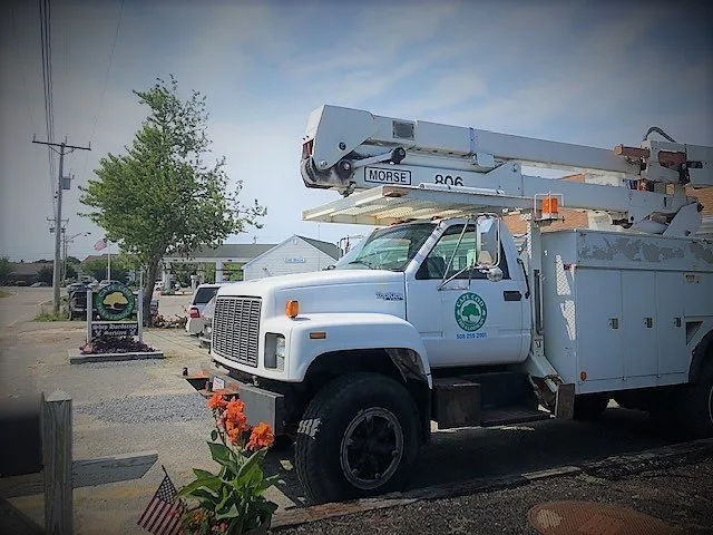 Affordable landscape design in Chatham, MA by Cape Cod Tree & Landscape