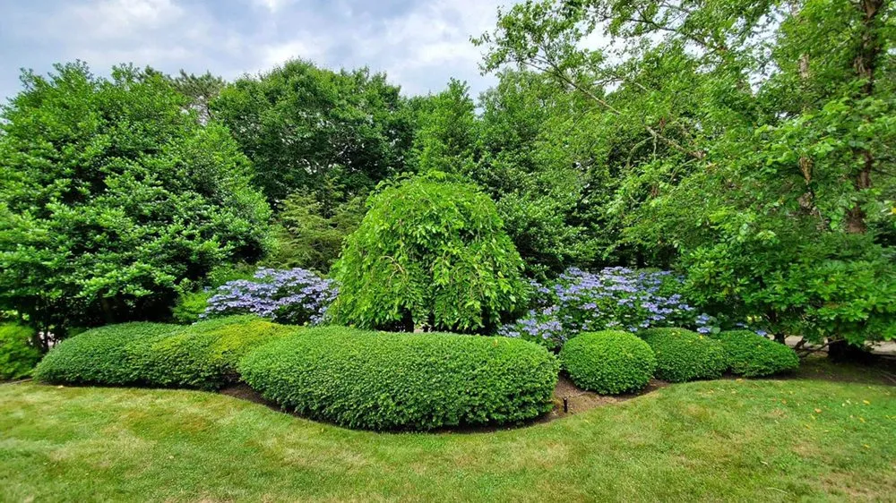 Professional yard cleanup service for year-round maintenance across Chatham, MA - Cape Cod Tree & Landscape