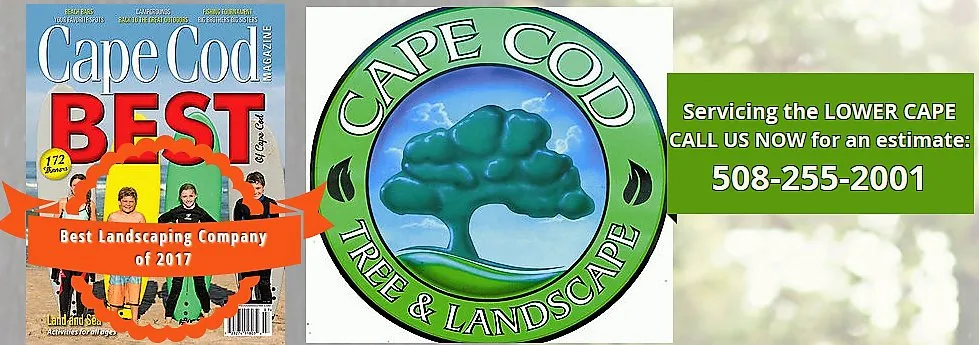 Top-rated lawn care service in Chatham, MA by Cape Cod Tree & Landscape