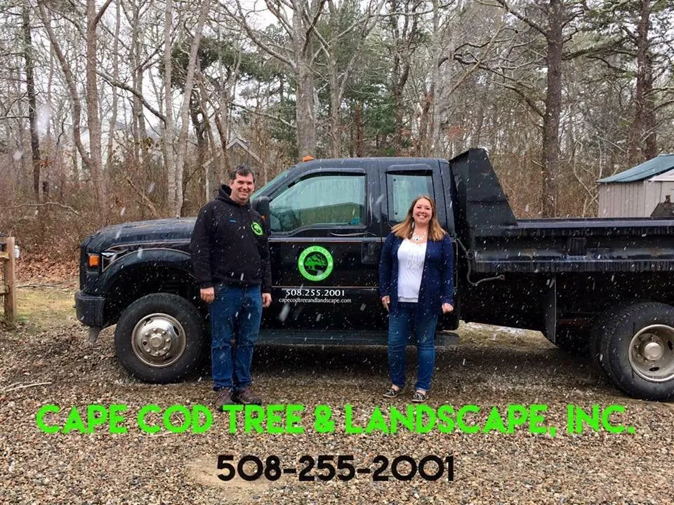 Trusted lawn care service near you in Chatham, MA by Cape Cod Tree & Landscape