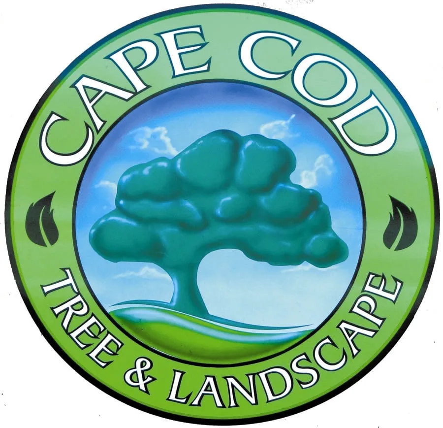 Top-rated landscaping services in Chatham, MA - Cape Cod Tree & Landscape