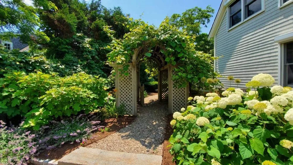 Top-rated outdoor landscaping in Chatham, MA by Cape Cod Tree & Landscape