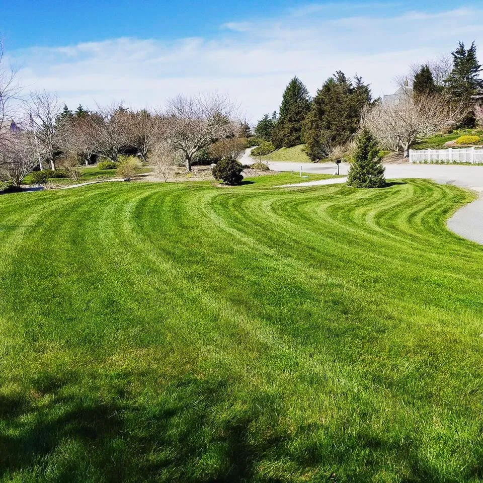 Affordable residential landscaping in Chatham, MA - Cape Cod Tree & Landscape