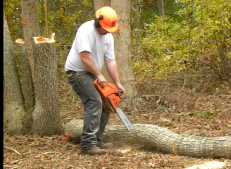 Professional garden landscaping for beautiful yards in Chatham, MA by Cape Cod Tree & Landscape