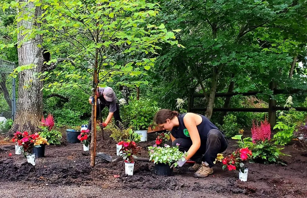 Affordable residential landscaping in Chatham, MA - Cape Cod Tree & Landscape