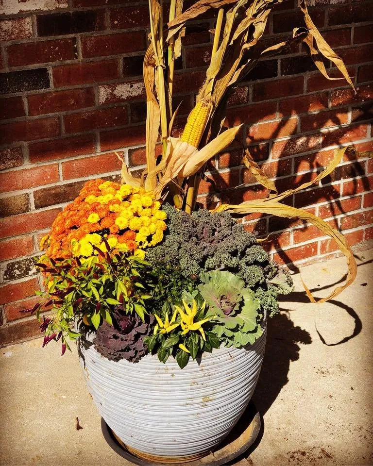 Top-rated landscaping services experts serving Chatham, MA - Cape Cod Tree & Landscape