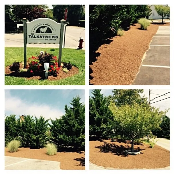 Trusted landscaping services for outdoor upgrades in Chatham, MA by Cape Cod Tree & Landscape