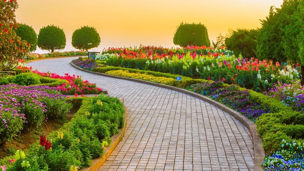 Top-rated landscape installation in Cape Cod, MA by Cape Cod Yard Service