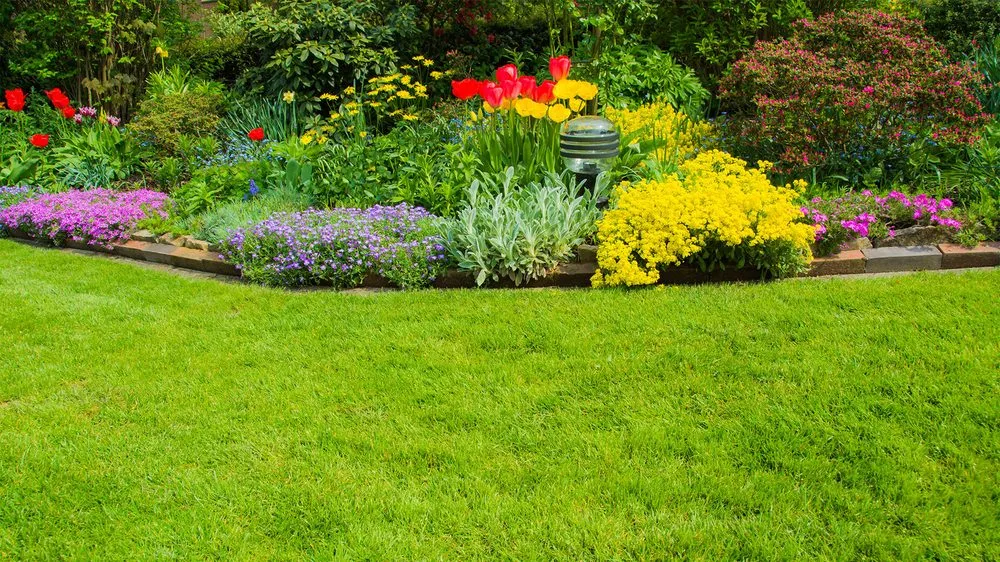 Top-rated yard cleanup service for residential properties across Cape Cod, MA - Cape Cod Yard Service