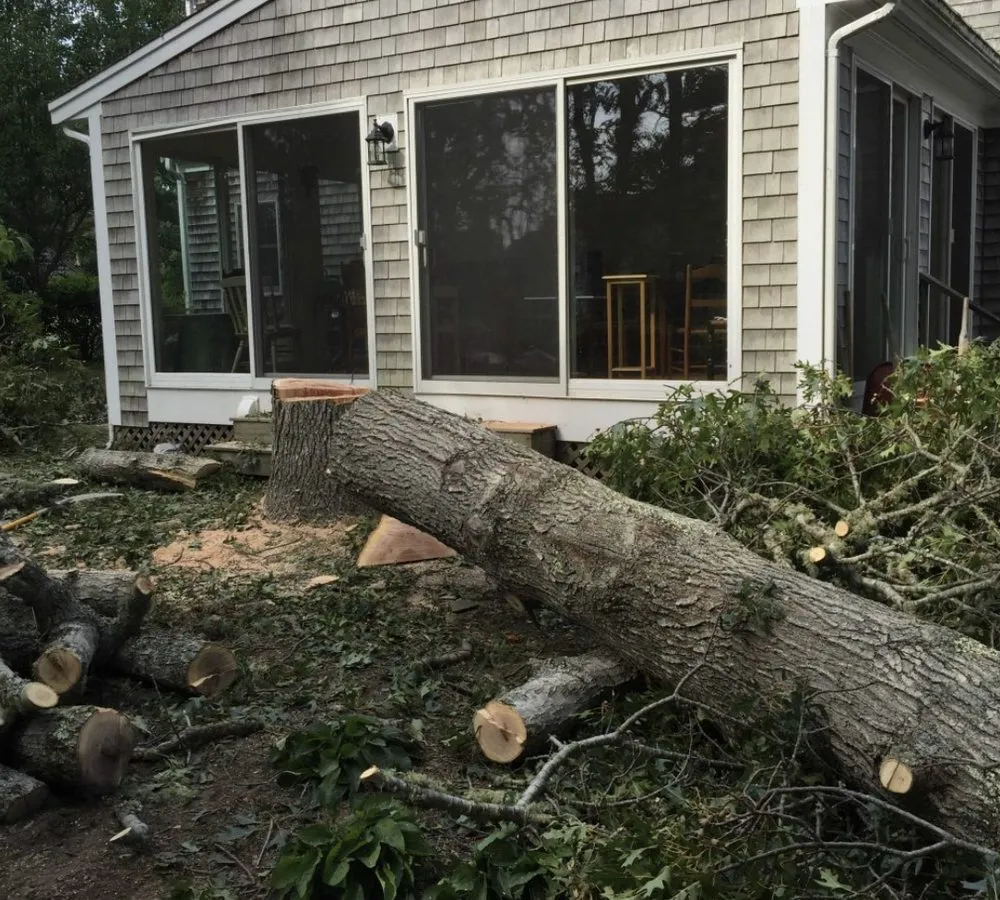 Affordable yard cleanup service experts serving Cape Cod, MA - Cape Cod Yard Service