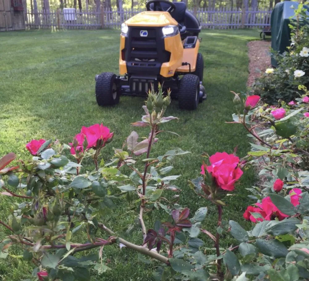 Local yard maintenance experts serving Cape Cod, MA - Cape Cod Yard Service