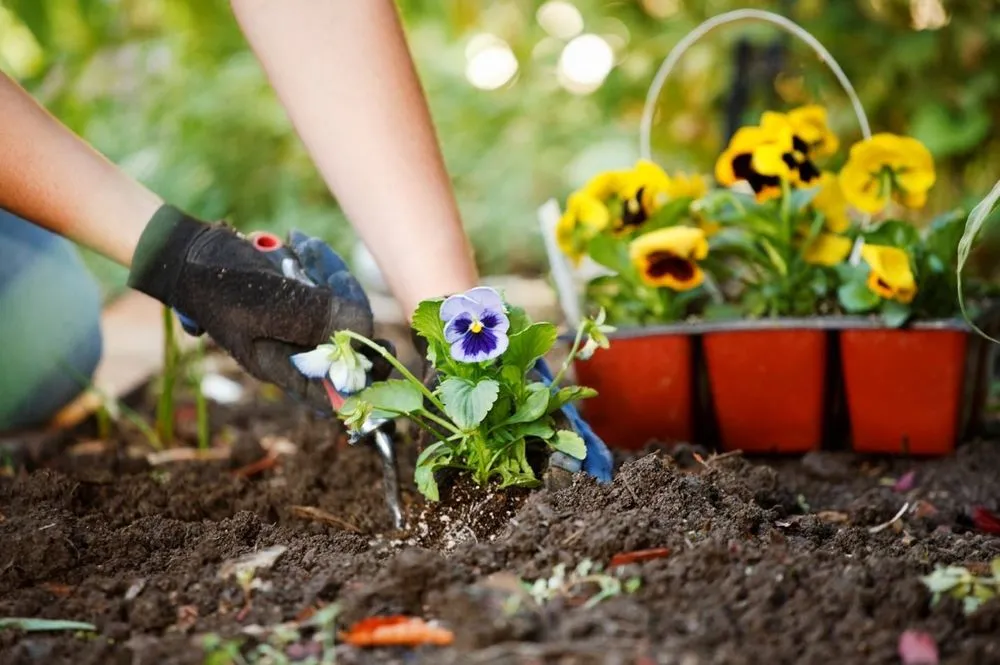 Affordable lawn mowing service for residential properties across Cape Cod, MA - Cape Cod Yard Service