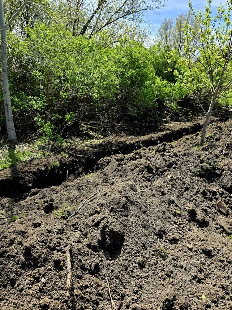 Trusted yard cleanup service in Cape Vincent, NY by Cape Earthworks