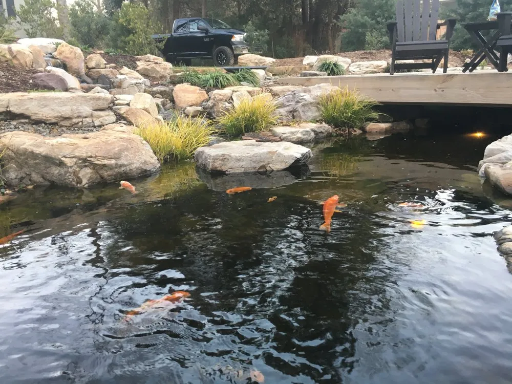 Trusted landscaping services in Wilmington, NC - Cape Fear Water Gardens