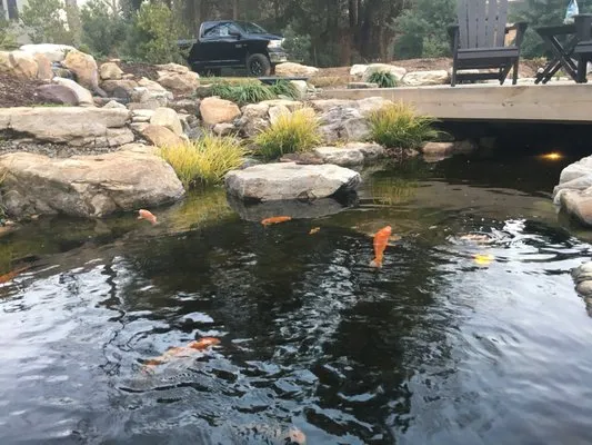 Cape Fear Water Gardens Logo