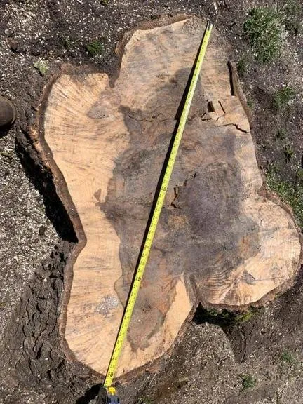 Affordable landscape installation in Hyannis, MA - Cape Home Landscaping